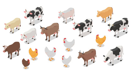 Isometric farm animals collection with cows, chickens, and ducks in various patterns