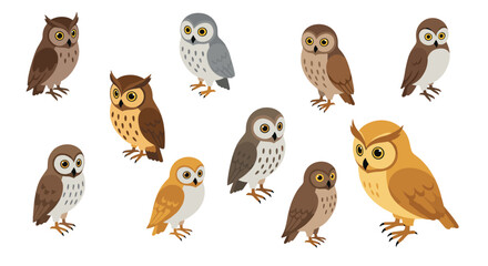 Assorted cartoon owls collection with diverse designs and colors on white background