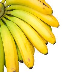 Close up of a bunch of ripe yellow bananas against a white background.