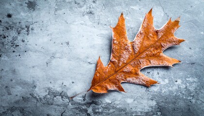 An autumn oak leaf, with jagged edges, rests on a textured, mottled, grey background, with a cool-toned aesthetic
