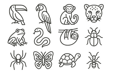Naklejka premium Rainforest Wildlife Icons. Line style icons of Rainforest Wildlife: Toucan, Macaw, Monkey, Jaguar; Frog, Snake, Sloth, Insect;