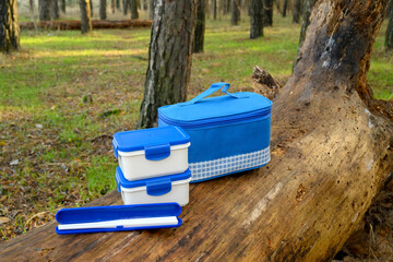 blue cooler bag and lunch boxes on fallen tree