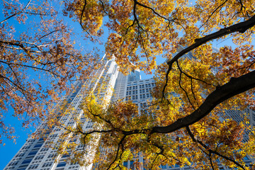 Tokyo Metropolitan Government Building with Autumn Foliage