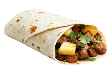 Tasty, perfectly wrapped taco,isolated on white background