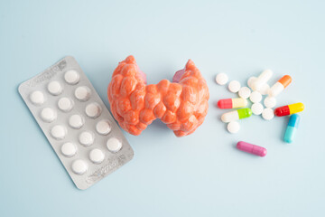 Thyroid model with pill drug treatment, Hyperthyroidism, Overactive or Lymphoma.