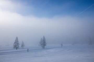 Obraz premium pistes de ski nordique ou ski de fond enneigées et dans la brume sur le plateau de Chamrousse en Isère dans les alpes en france en hiver