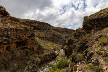 Barranco del Rey gorge, near Roque del Conde mountain. Tenerife, Canary Islands.