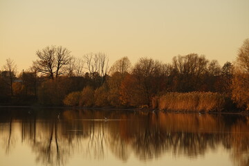 Catching and selling fish at pond dam, a major annual autumn event that attracts crowds.