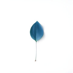 A solitary blue leaf with delicate veins and a gentle curved shape is placed on a pristine white background