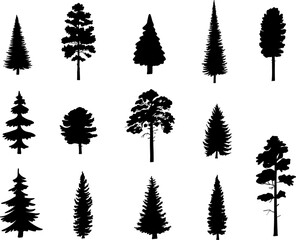 Christmas tree black silhouette drawing outline set vector illustration. Set evergreen coniferous trees
