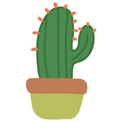 Cactus Plant in Minimalist Pot