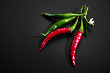 Red chili pepper red and green color, flowers, fruits and leaves, eco bio fresh red hot chilli peppers spice plant over black background. Flat lay, top view photo. 