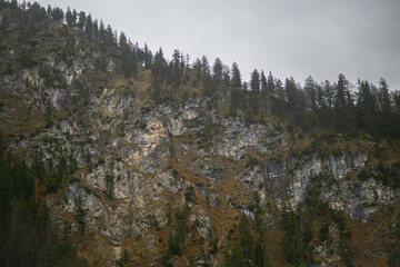 Rocky Mountain Wall with Evergreen Ridge