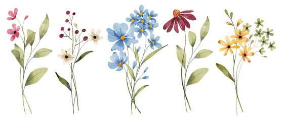 Set watercolor flowers painting, floral vintage bouquet illustrations with wildflowers and leaves. Decoration for poster, greeting card, birthday, wedding design. Isolated on white background.