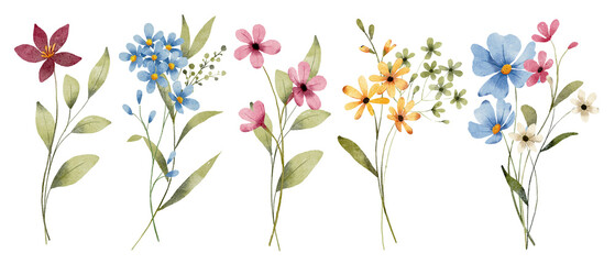 Set watercolor flowers painting, floral vintage bouquet illustrations with wildflowers and leaves. Decoration for poster, greeting card, birthday, wedding design. Isolated on white background.