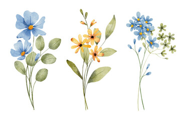 Obraz premium Set watercolor flowers painting, floral vintage bouquet illustrations with wildflowers and leaves. Decoration for poster, greeting card, birthday, wedding design. Isolated on white background.