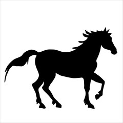 Vector silhouette of horse isolate on white backround.