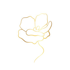 rose flower logo design template vector illustration