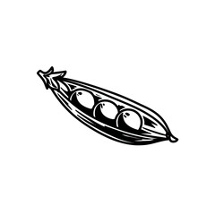 Open pea pod with three peas black and white illustration