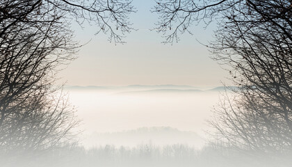 Foggy landscape framed by bare branches, creating a serene and ethereal atmosphere.