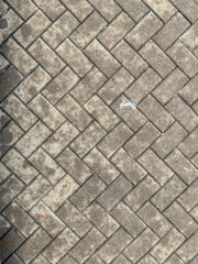 brick paving texture on flat lay view. Grey concrete pavers with weathered stains. geometric background ideal for architecture mockups, product backdrops, and design textures.