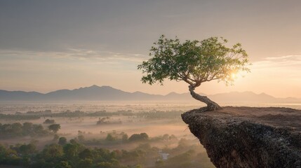 A solitary tree perched on a dramatic cliff overlooking a misty landscape at sunrise.