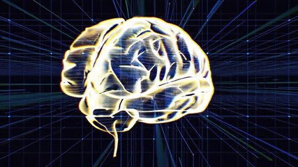 Rotating 3D human brain animation with a blue x-ray scan effect inside a transparent head, visualizing neurology and anatomy concepts human brain technology medical neurology scan concept - Powered by Adobe
