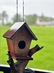 Simple wooden birdhouse with a triangular roof and circular entrance, suspended from above on a sculpted branch-like mount. 