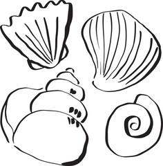 Seashell doodles. Beach clipart. Hand drawn illustrations.
