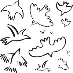 Set of simple bird doodles. Hand drawn illustration elements for branding. Nature clipart
