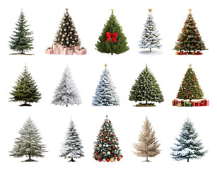 Obraz premium PNG Variety of decorated Christmas trees, element set on transparent background