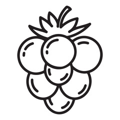 Obraz premium Simple line art illustration of a fresh raspberry fruit icon vector