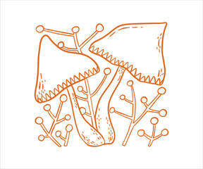 Simple line illustration a cute woodland mushroom with plant. retro sketch elements with a clean white background and a hint of mossy forest atmosphere for a calm natural look.