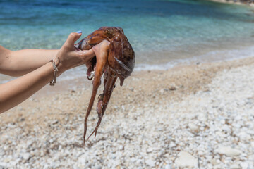 Woman's hands holding a octopus over a pebble beach and clear blue sea