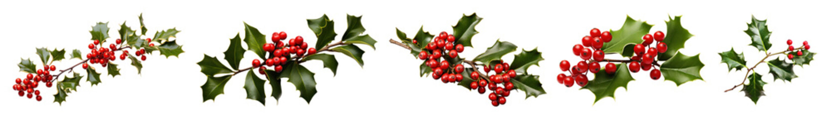 PNG Festive holly berry garland decoration, element set on transparent background