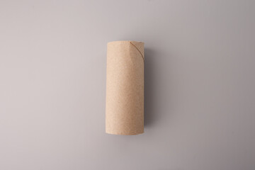 Empty cardboard toilet paper roll on neutral background, ideal for eco branding, recycling campaigns, sustainability blogs, zero waste education, DIY tutorials, packaging design references.