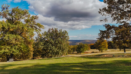 Hadambu Oak Clearing — Aerial View in Autumn