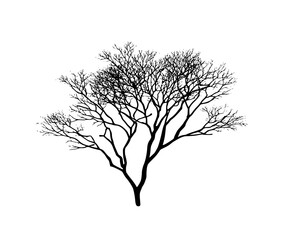 Obraz premium Elegant Bare Tree Silhouette | Clean, isolated vector art for creative projects.