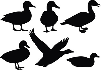 Silhouette of ducks in various poses isolated on white background