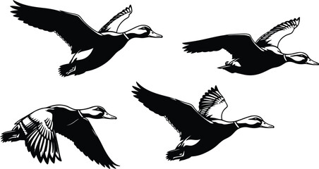 Four ducks flying in formation black and white illustration