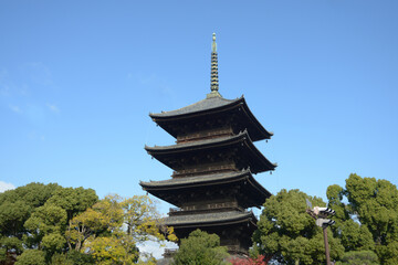 Fototapeta premium 東寺 五重塔 京都市南区九条町