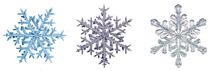 set of snowflakes on a white background, real photos natural crystals macro photo isolated on white