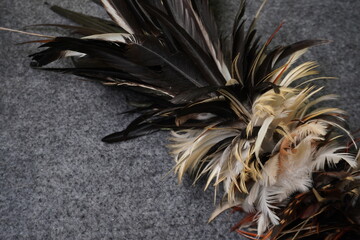 Close Up Texture of Black and White Exotic Feathers