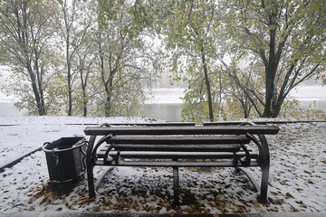 in the park, the beginning of winter leaves on the trees and the first snowfall, snow on the branches and leaves