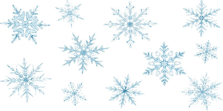 Collection of twelve diverse blue snowflakes, illustrating winter's delicate artistry and the beauty of frozen crystals in varying sizes and intricate patterns on a white background