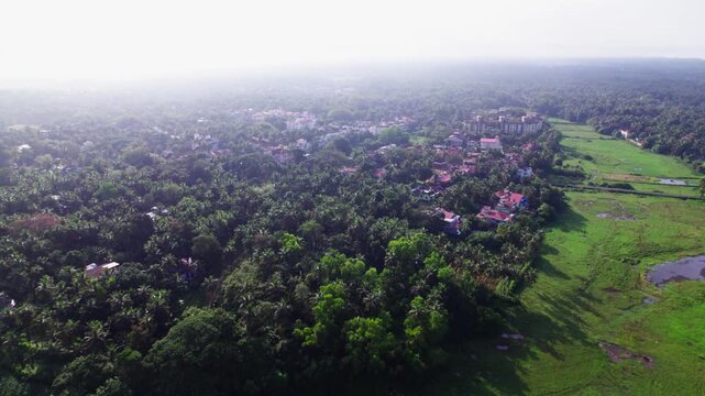 Lush greenery with houses and fog at colva, south goa, india. day time, push in shot, drone shot, 4k.