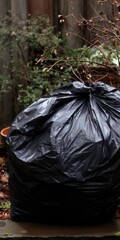 Black plastic garbage bag filled with yard waste