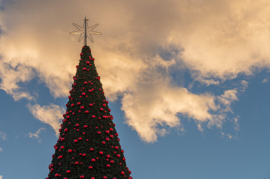 Christmas tree with red xmas balls against blue sky with clouds at sunset