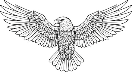 Eagle vector illustration, black and white line art, symmetrical wings spread, detailed feathers, powerful talons, front view, majestic bird, wildlife, predator