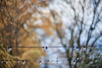 Autumn blurred background of trees in a city park, seasonal backdrop for design
